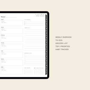 Undated iPad Daily Planner