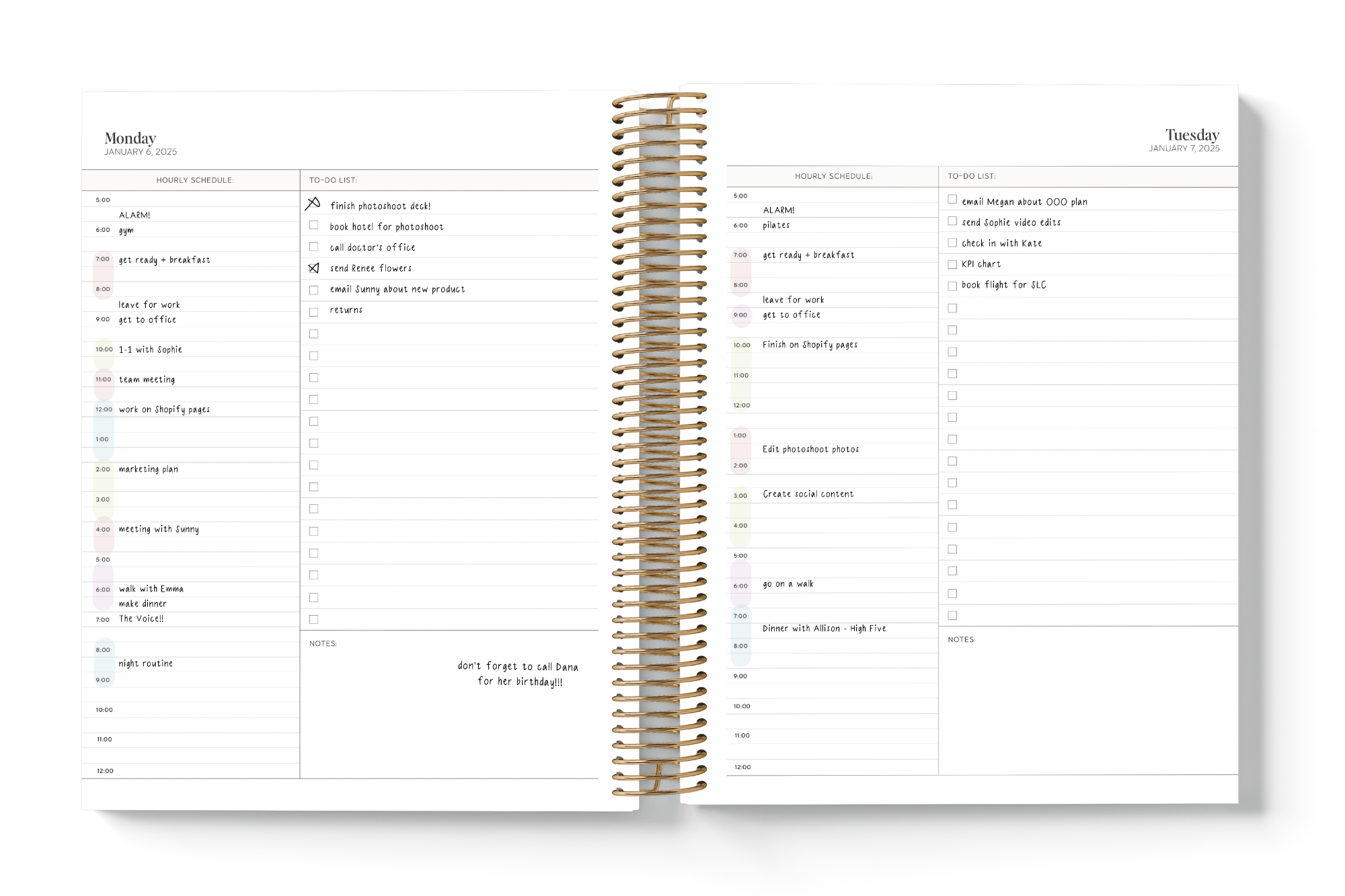 2025 Daily Planner Vanilla The Dailee 2025 daily planner vanilla the dailee