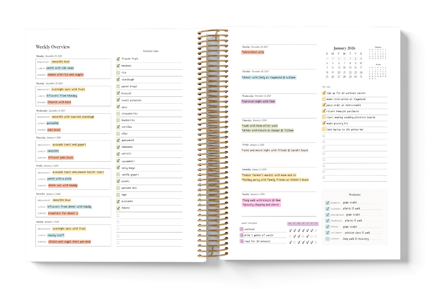 2026 Daily Planner – The Dailee